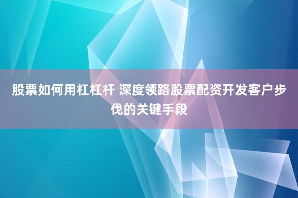 股票如何用杠杠杆 深度领路股票配资开发客户步伐的关键手段