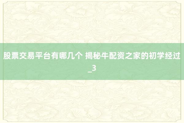 股票交易平台有哪几个 揭秘牛配资之家的初学经过_3