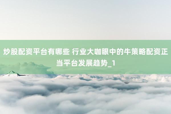 炒股配资平台有哪些 行业大咖眼中的牛策略配资正当平台发展趋势_1
