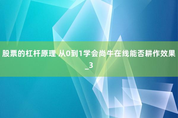 股票的杠杆原理 从0到1学会尚牛在线能否耕作效果_3
