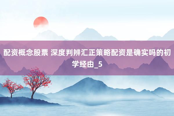 配资概念股票 深度判辨汇正策略配资是确实吗的初学经由_5