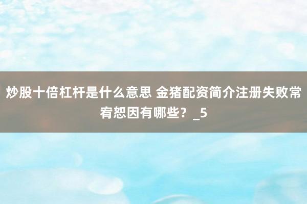 炒股十倍杠杆是什么意思 金猪配资简介注册失败常宥恕因有哪些？_5