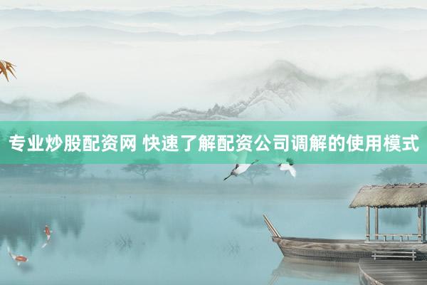 专业炒股配资网 快速了解配资公司调解的使用模式