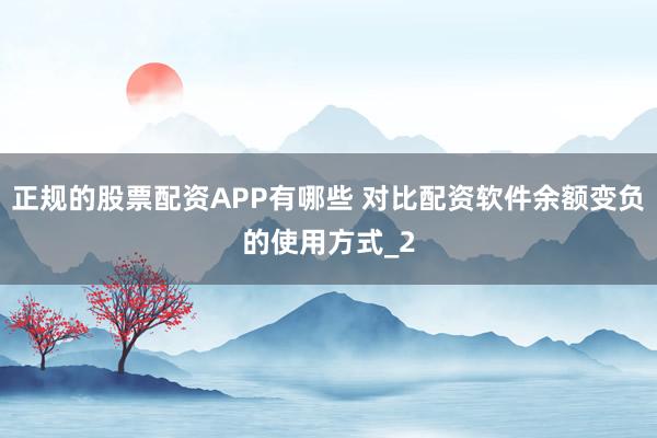 正规的股票配资APP有哪些 对比配资软件余额变负的使用方式_2