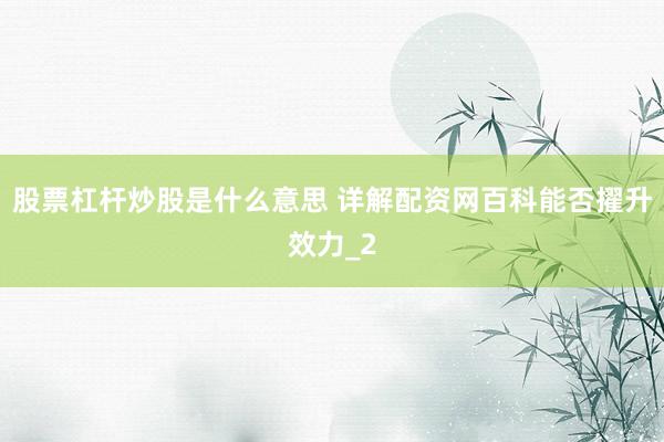 股票杠杆炒股是什么意思 详解配资网百科能否擢升效力_2